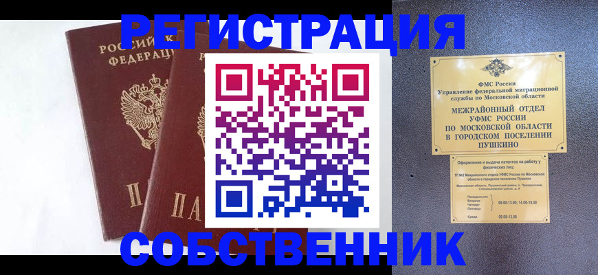 прописка поиск в Павловске